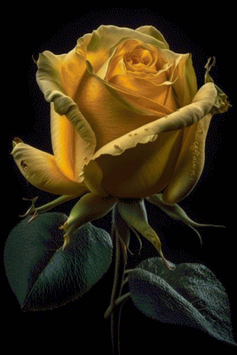 №2643403 - предпросмотр