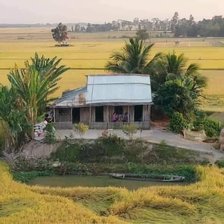 Схема вышивки «Quê nhà»