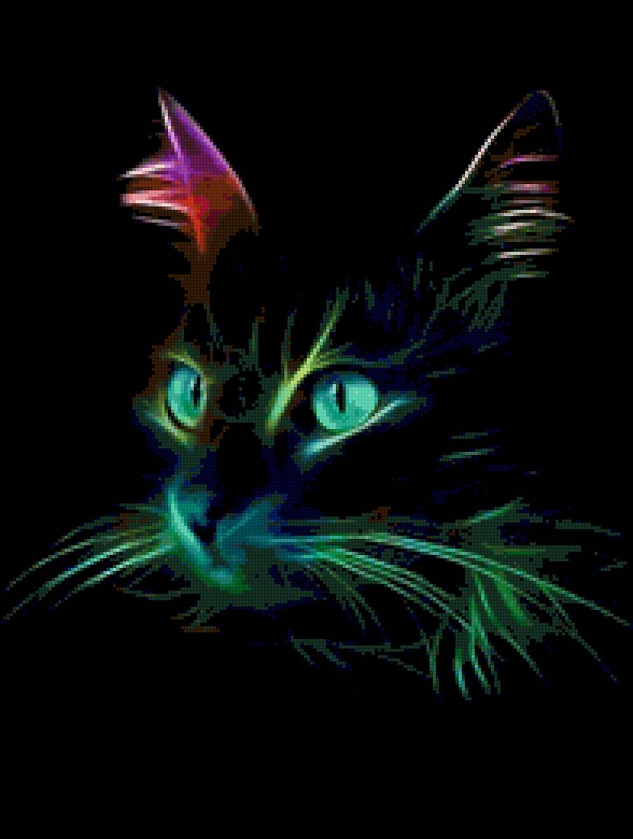 pisica - предпросмотр