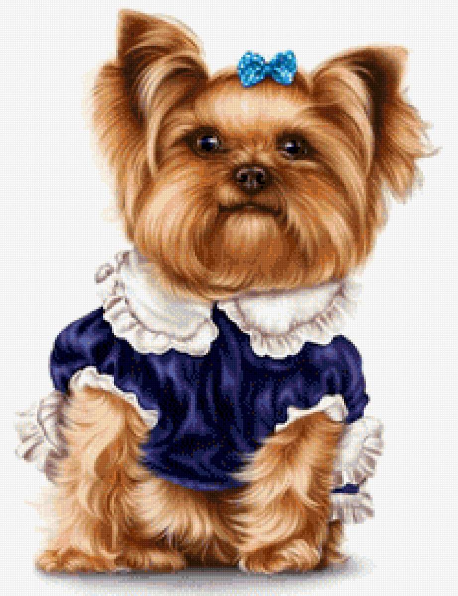 PERRITA COQUETA - предпросмотр