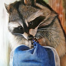 Схема вышивки «Енот»