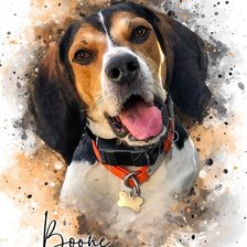 Схема вышивки «Watercolor Pet»