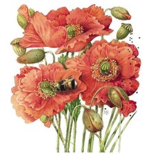 Схема вышивки «Маки»