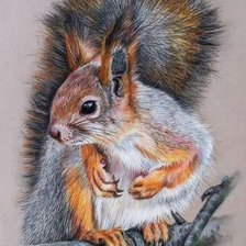 Схема вышивки «Белочка»