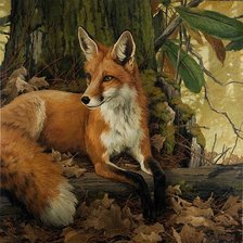 Схема вышивки «№2645316»