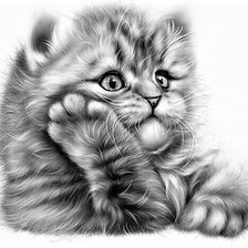 Схема вышивки «№2645714»