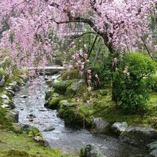 Схема вышивки «№2645786»