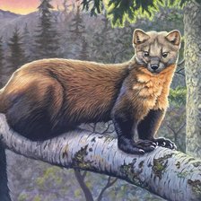 Схема вышивки «№2645886»