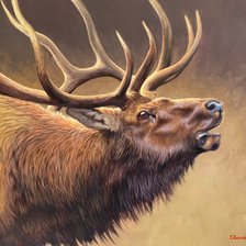 Схема вышивки «№2645893»