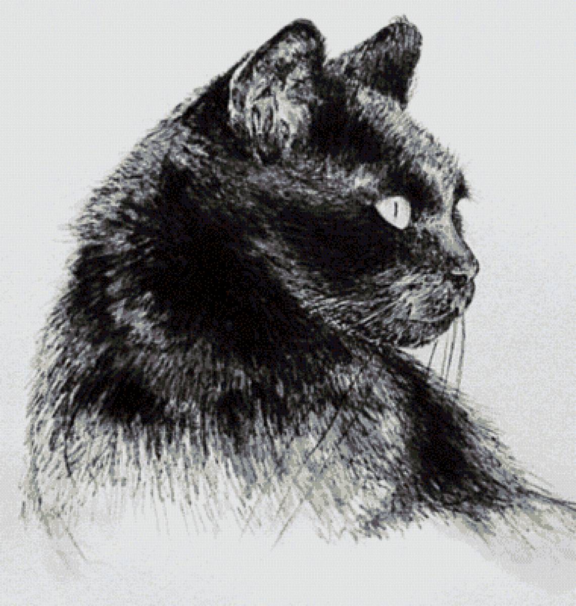 Чёрная кошка. Набросок угольным карандашом - художники - предпросмотр