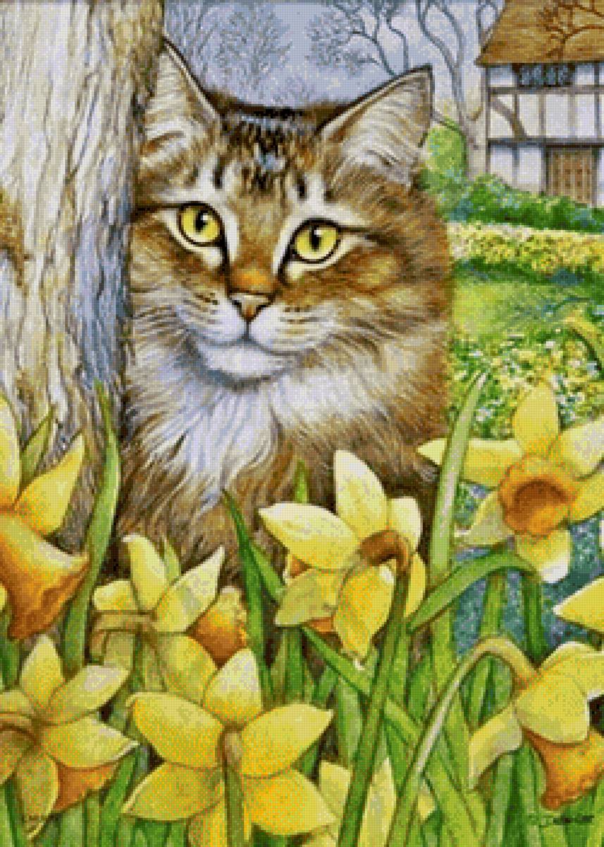 Весна - кот, нарциссы, весна - предпросмотр