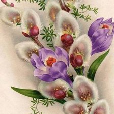 Схема вышивки «№2646570»