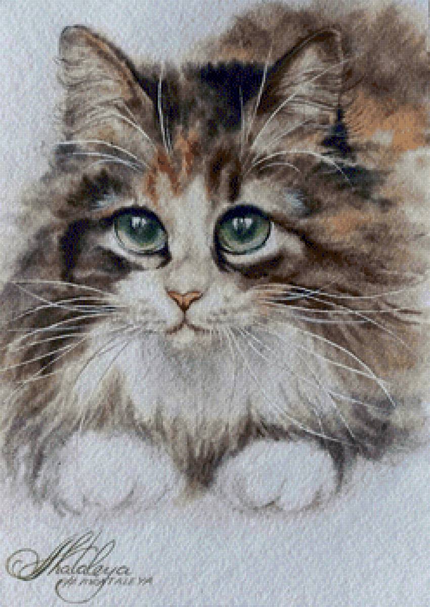 Кошечка - живопись, домашние животные, кот - предпросмотр