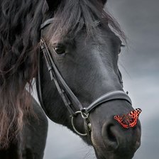 Схема вышивки «Нежность 2»