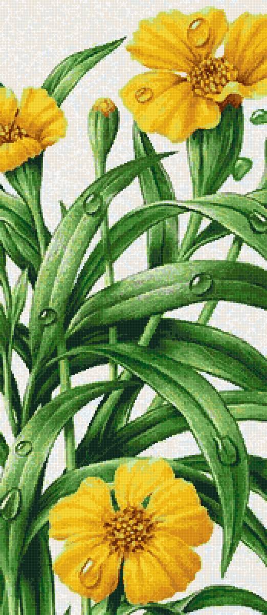 №2646967 - предпросмотр