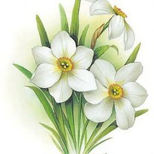 Схема вышивки «Нарциссы»
