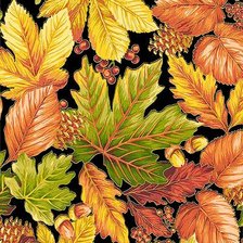 Схема вышивки «Осенние листья»