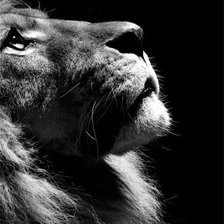 Схема вышивки «Лев»