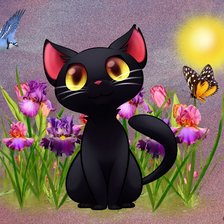 Схема вышивки «Чёрный котик»