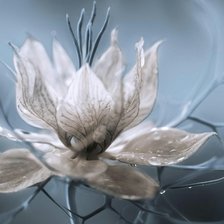 Схема вышивки «Цветок.»