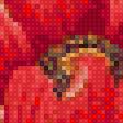 Предпросмотр схемы вышивки «Подушка "Маки"» (№2649246)