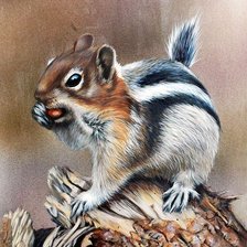 Схема вышивки «Бурундучок»