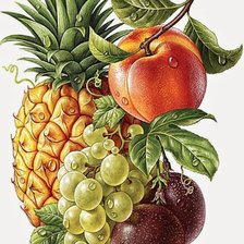 Схема вышивки «№2650653»