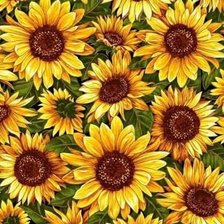 Схема вышивки «Подушка"Подсолнухи"»