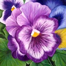 Схема вышивки «подушка  виола»