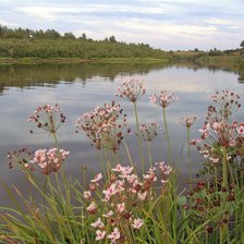 Схема вышивки «У реки»