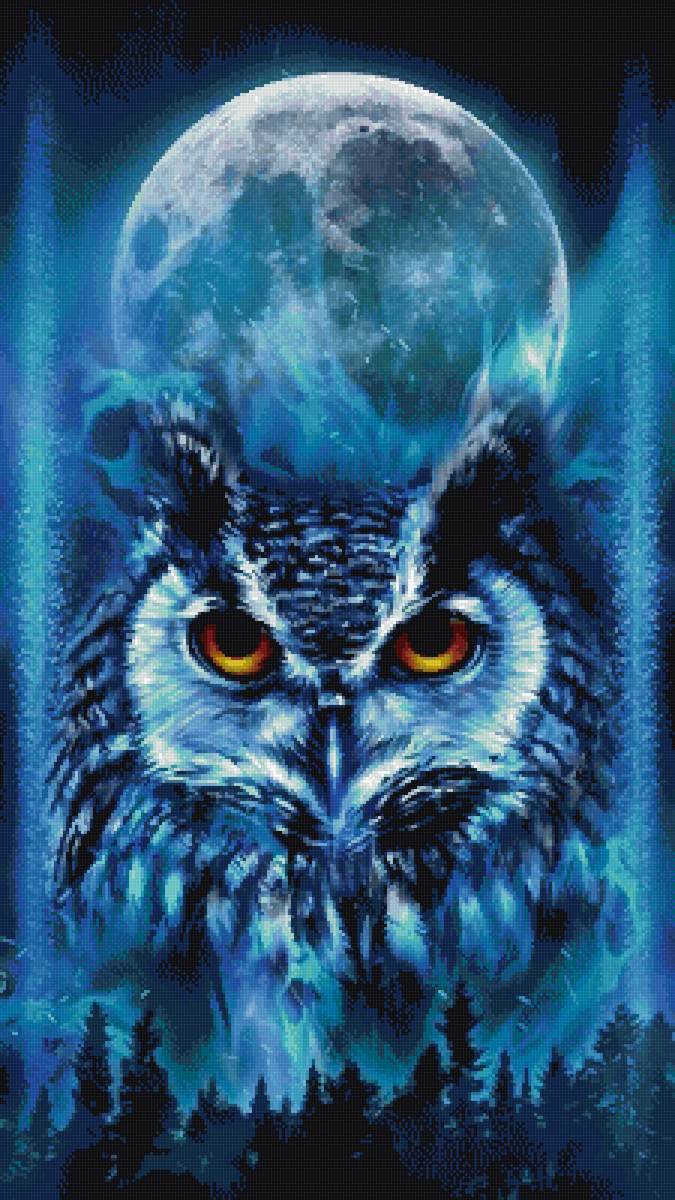 Сова. - сова, ночь, пнк, птица - предпросмотр