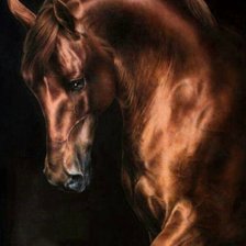 Схема вышивки «№2651909»