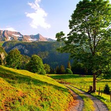 Схема вышивки «№2652020»