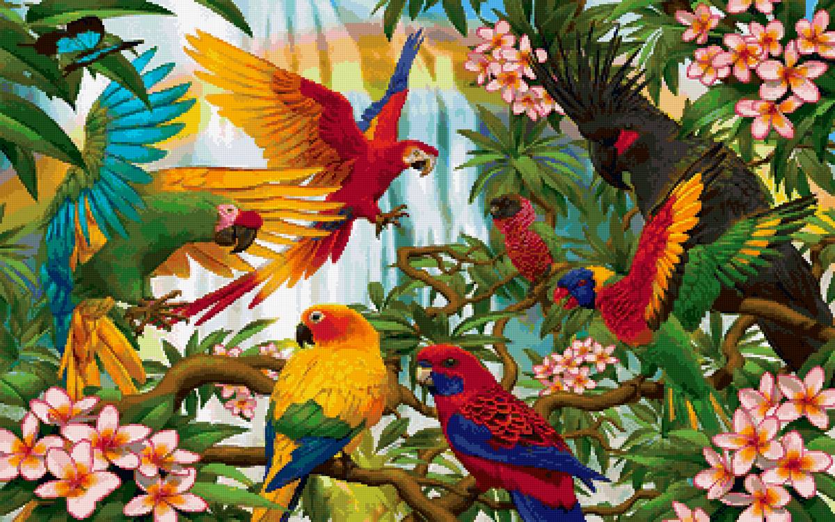 №2652439 - попугаи, птицы - предпросмотр