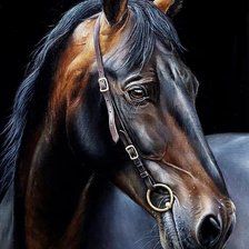 Схема вышивки «Натан»