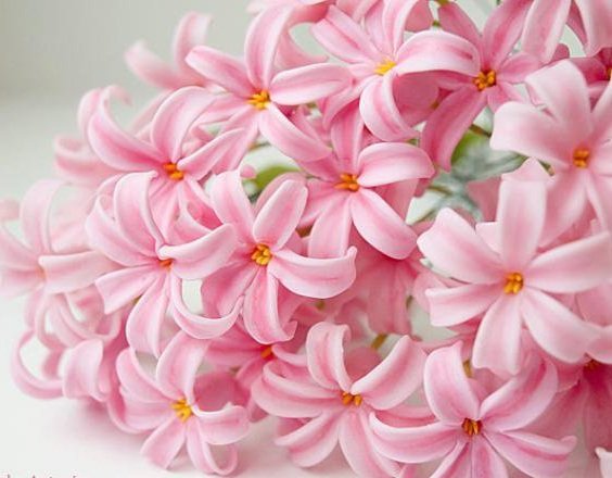 подушка гиацинт - оригинал