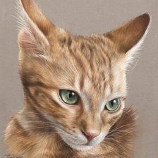 Схема вышивки «рыжик»