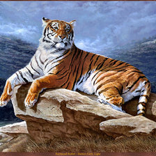 Схема вышивки «тигр»