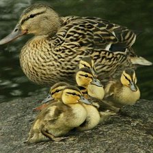 Схема вышивки «№2652903»