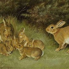 Схема вышивки «№2652907»