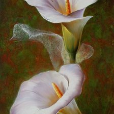 Схема вышивки «№2653242»