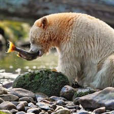 Схема вышивки «Обед»