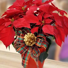 Схема вышивки «№2653343»