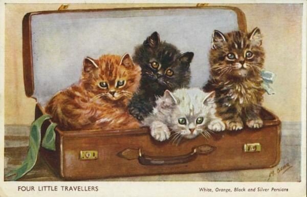 Дружная семейка - котики - оригинал