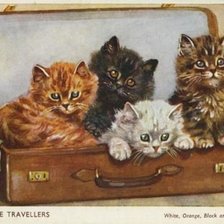 Дружная семейка