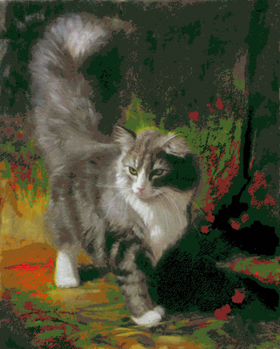 ,,Красавчик,, - кот - предпросмотр