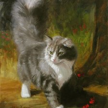 ,,Красавчик,,