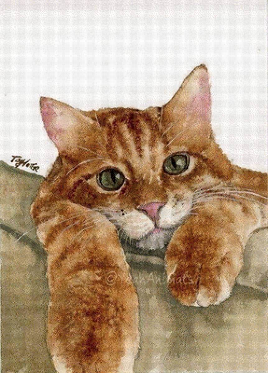 ,,Рыжий ,, кот - кот - предпросмотр