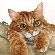 ,,Рыжий ,, кот