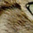 Предпросмотр схемы вышивки «Коь» (№2653397)